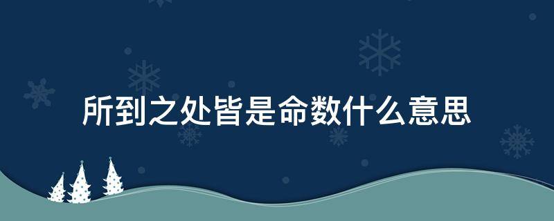 所到之处皆是命数什么意思 所到之处皆是命数