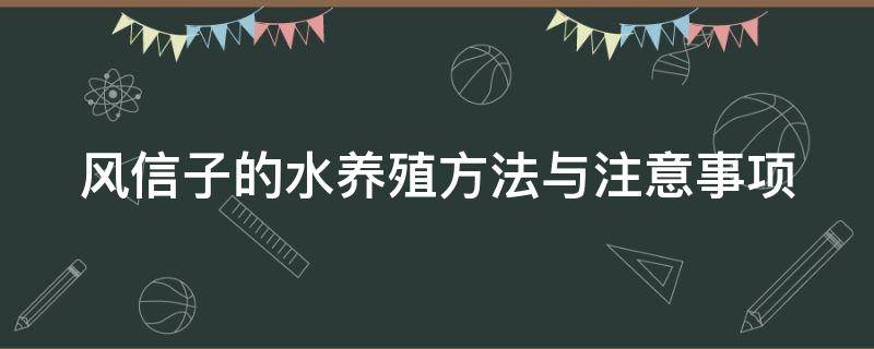 风信子的水养殖方法与注意事项（风信子的水养殖方法与注意事项有哪些）