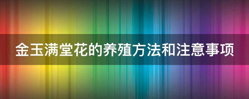 金玉满堂花的养殖方法和注意事项 金玉满堂花的养殖方法和注意事项视频