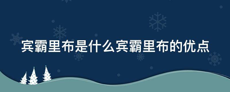 宾霸里布是什么宾霸里布的优点 宾霸里布是什么材质