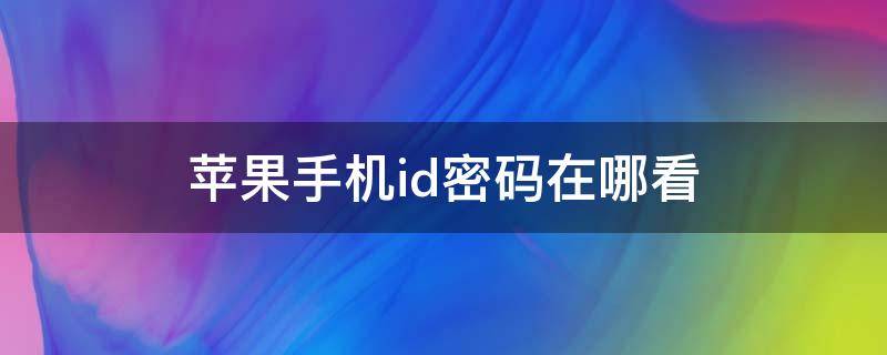 苹果手机id密码在哪看（iphone的id密码在哪里看）