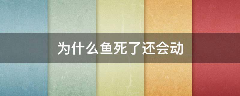 为什么鱼死了还会动 为什么鱼死了还会动作文500字