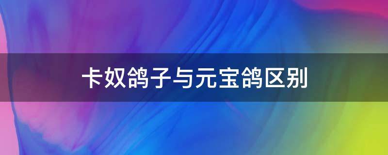 卡奴鸽子与元宝鸽区别（卡奴鸽和元宝鸽有什么区别）