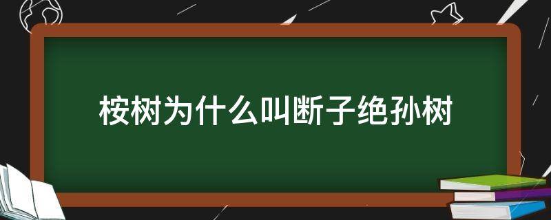 桉树为什么叫断子绝孙树 桉树 断子绝孙