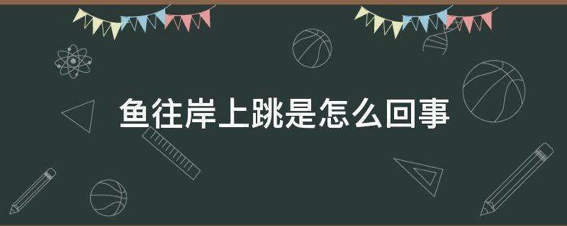 鱼往岸上跳是怎么回事（鱼为什么会跳上岸）