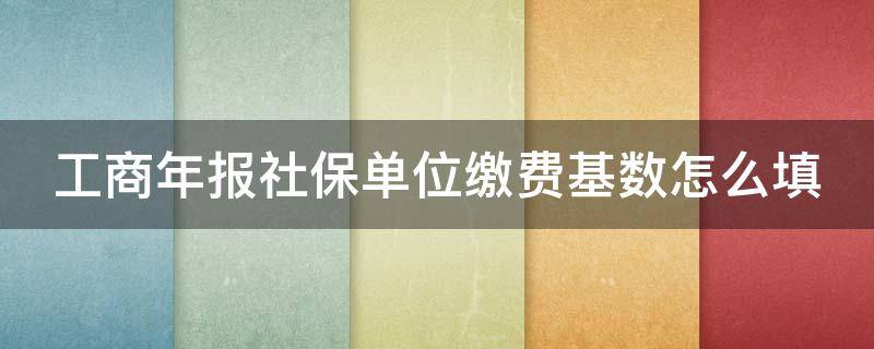 工商年报社保单位缴费基数怎么填（如何缴纳社保）