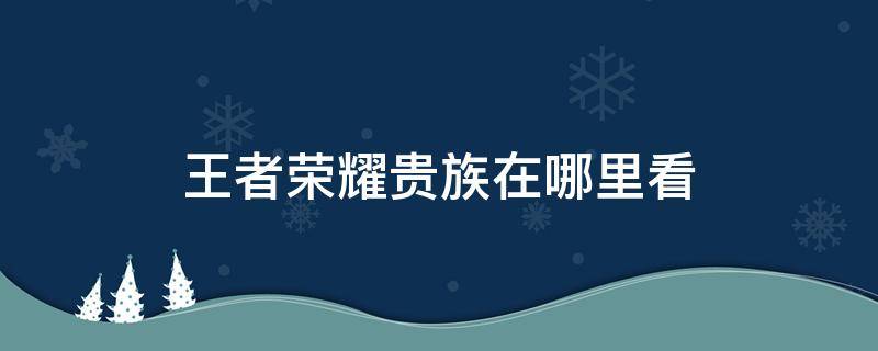 王者荣耀贵族在哪里看（王者荣耀贵族在哪里看等级）