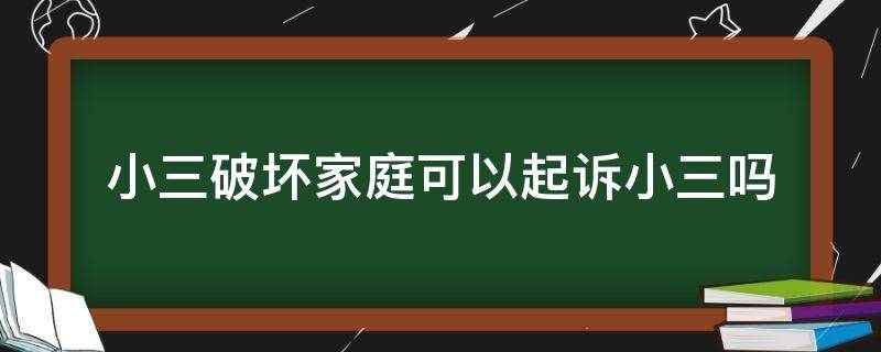 小三破坏家庭可以起诉小三吗（小三破坏家庭违法吗）