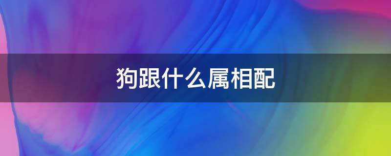 狗跟什么属相配 82年的狗跟什么属相配