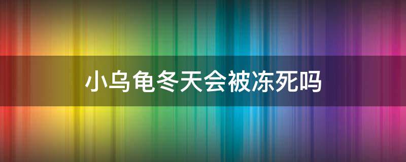 小乌龟冬天会被冻死吗 小乌龟冬眠会不会冻死