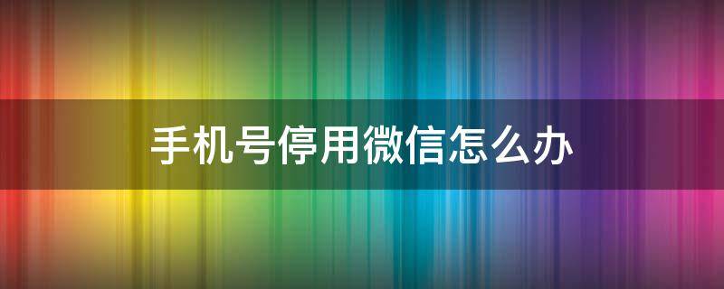 手机号停用微信怎么办（微信号在用的手机停用了怎么办）