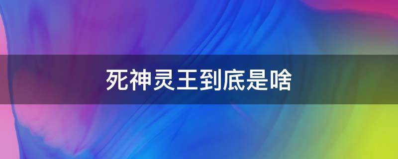 死神灵王到底是啥（死神灵王到底是什么）