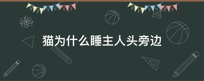 猫为什么睡主人头旁边 猫猫睡在主人头旁边