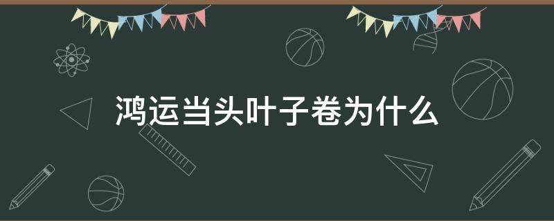 鸿运当头叶子卷为什么 鸿运当头叶子卷起来是什么原因