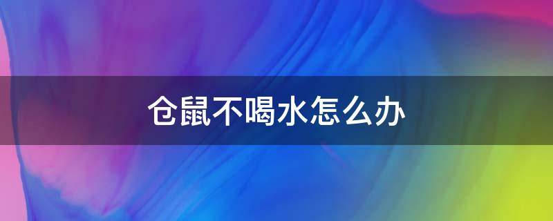 仓鼠不喝水怎么办 刚买回来的仓鼠不喝水怎么办