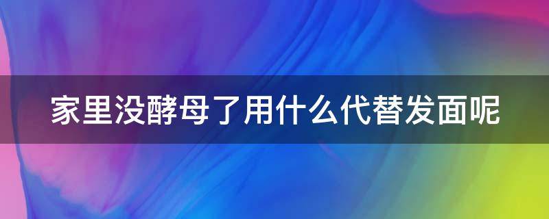 家里没酵母了用什么代替发面呢（家里没有酵母粉了怎么发面）