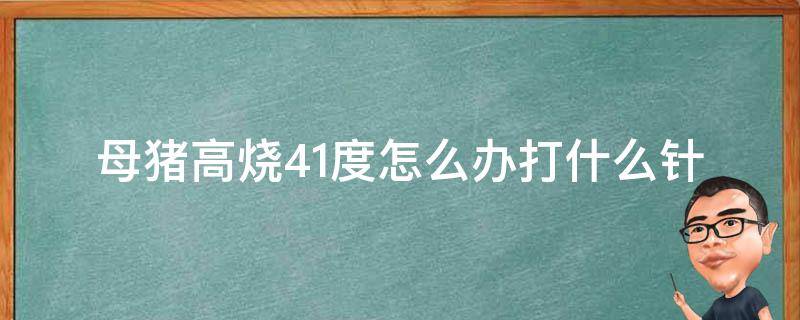 母猪高烧41度怎么办打什么针 母猪发烧41度打什么退烧