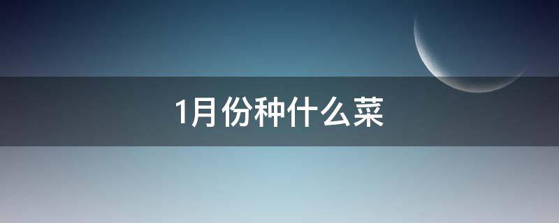 1月份种什么菜（1月份种什么菜最好）