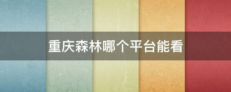 重庆森林哪个平台能看（重庆森林在哪个app可以看）