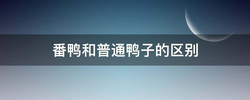 番鸭和普通鸭子的区别（番鸭肉和普通鸭子的区别）