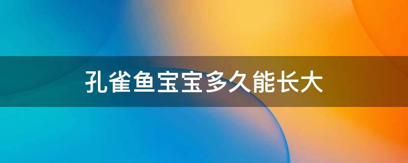 孔雀鱼宝宝多久能长大 孔雀鱼宝宝多久才能长大