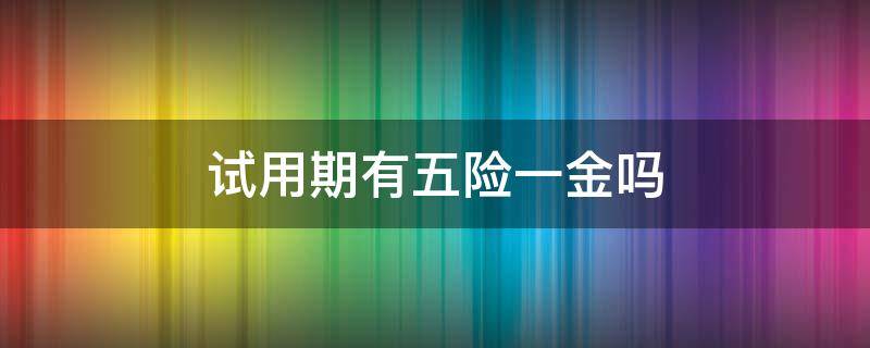 试用期有五险一金吗 国企员工试用期有五险一金吗