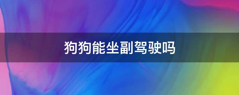 狗狗能坐副驾驶吗（狗能不能坐副驾驶）