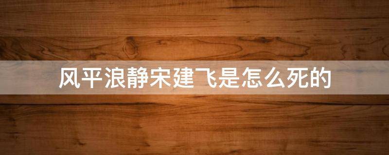 风平浪静宋建飞是怎么死的（风平浪静宋为哈啥要杀）