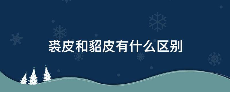 裘皮和貂皮有什么区别（裘皮和貂皮有啥区别）