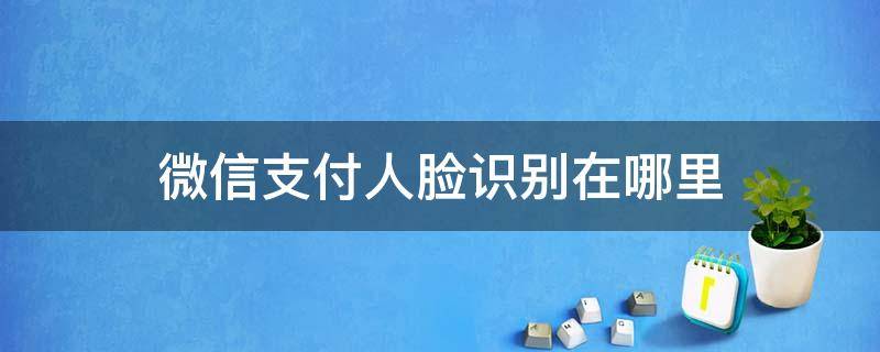 微信支付人脸识别在哪里 微信支付人脸识别在哪里设置