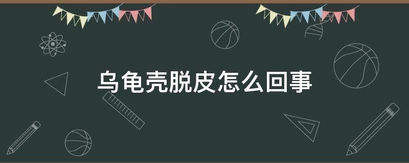 乌龟壳脱皮怎么回事 乌龟壳脱皮是怎么回事