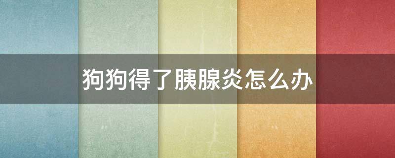 狗狗得了胰腺炎怎么办 狗狗得了胰腺炎怎么办吃什么药