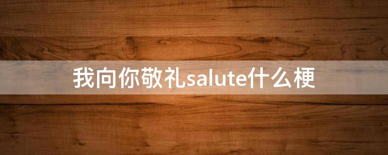 我向你敬礼salute什么梗（向你敬礼呀salute）