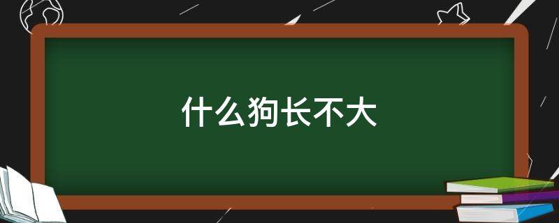 什么狗长不大 什么狗长不大一直很小