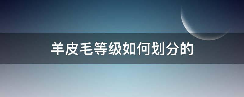 羊皮毛等级如何划分的 羊毛分为哪些等级