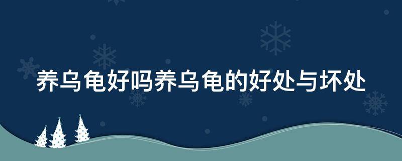 养乌龟好吗养乌龟的好处与坏处 养乌龟好不好?