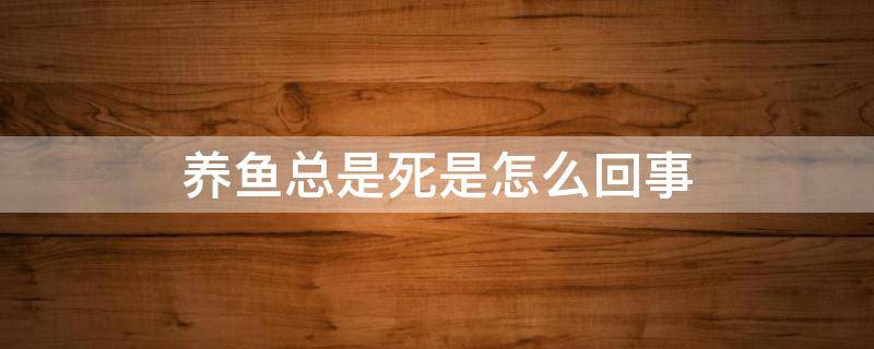 养鱼总是死是怎么回事 养的鱼总死是什么原因