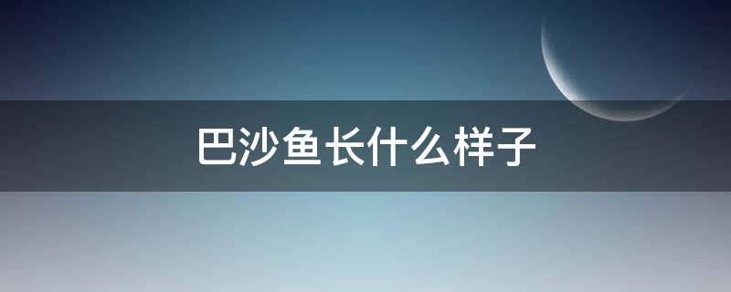 巴沙鱼长什么样子 巴沙鱼长什么样子在哪在哪里生活