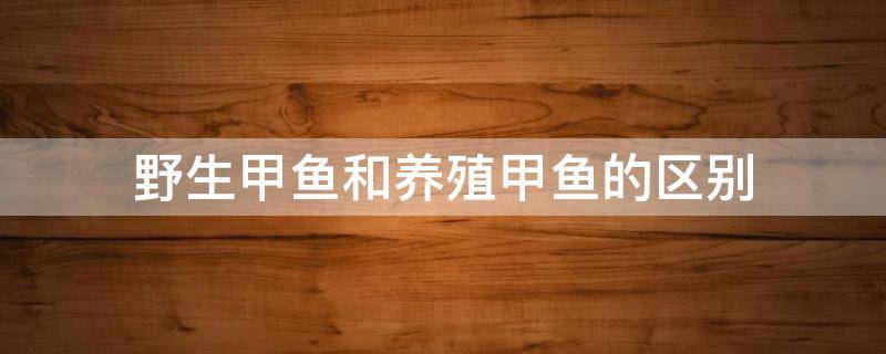 野生甲鱼和养殖甲鱼的区别（野生甲鱼和养殖甲鱼的区别图片大全）