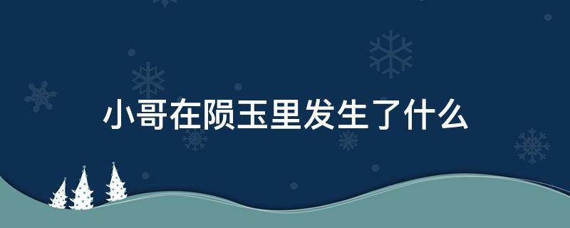 小哥在陨玉里发生了什么（为什么小哥从陨玉里出来说没时间了）