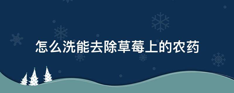 怎么洗能去除草莓上的农药（草莓怎么洗可以去除农药）