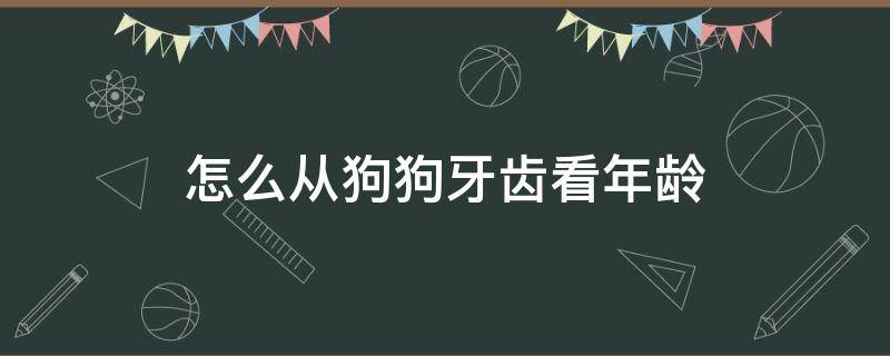 怎么从狗狗牙齿看年龄 如何通过牙齿看狗狗的年龄