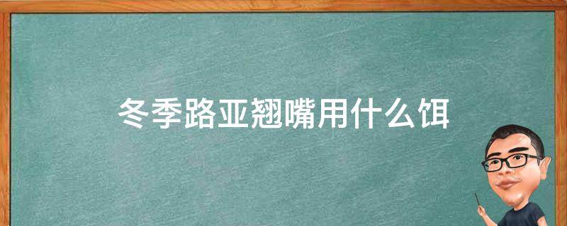 冬季路亚翘嘴用什么饵 冬天早上路亚翘嘴用什么饵