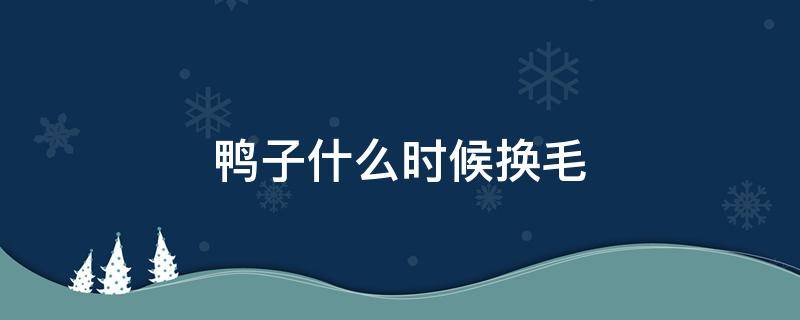 鸭子什么时候换毛 鸭子啥时候换毛