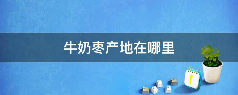 牛奶枣产地在哪里 牛奶枣产地在哪里算不算鲜活农产品