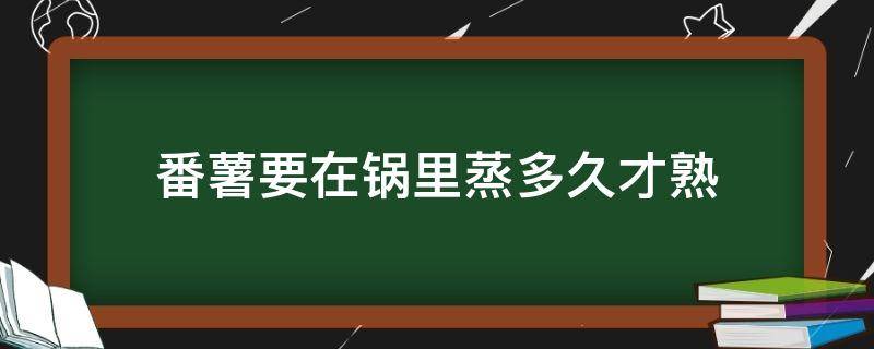 番薯要在锅里蒸多久才熟 番薯蒸多久熟透