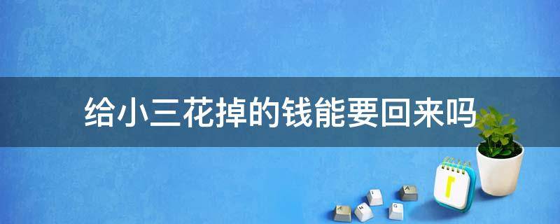 给小三花掉的钱能要回来吗 给小三花的钱可以追回吗