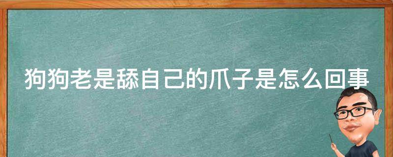 狗狗老是舔自己的爪子是怎么回事 狗狗老是舔自己的爪子是怎么回事啊