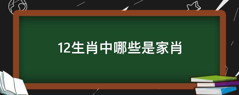 12生肖中哪些是家肖（12生肖哪几肖是家肖）