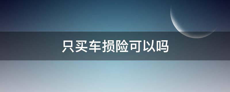 只买车损险可以吗 什么情况下可以不买车损险